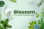 Blossom l'expert IA des plantes